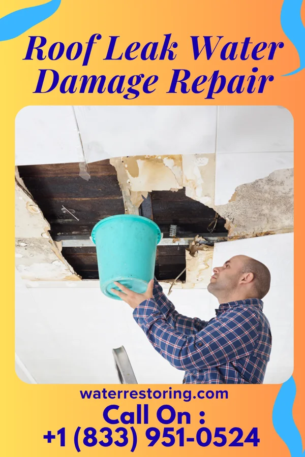 Roof Leak Water Damage Repair in Plain Dealing, LA